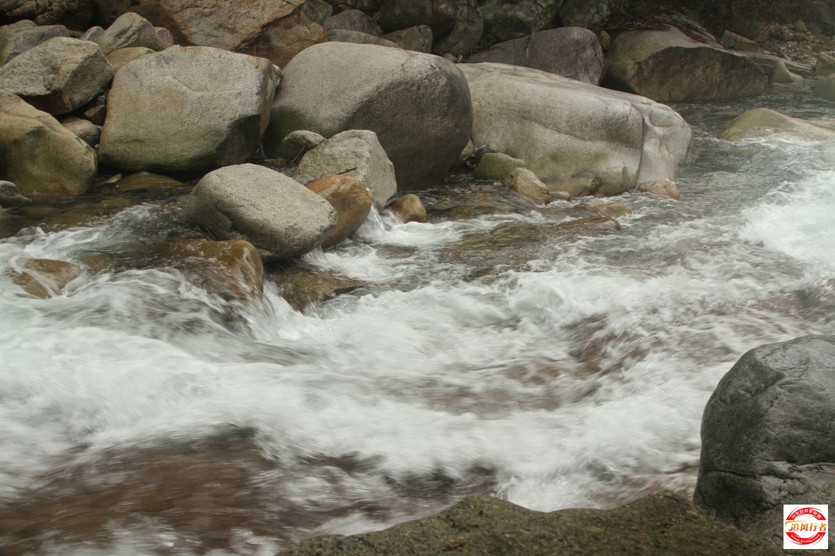 IMG_4665.jpg