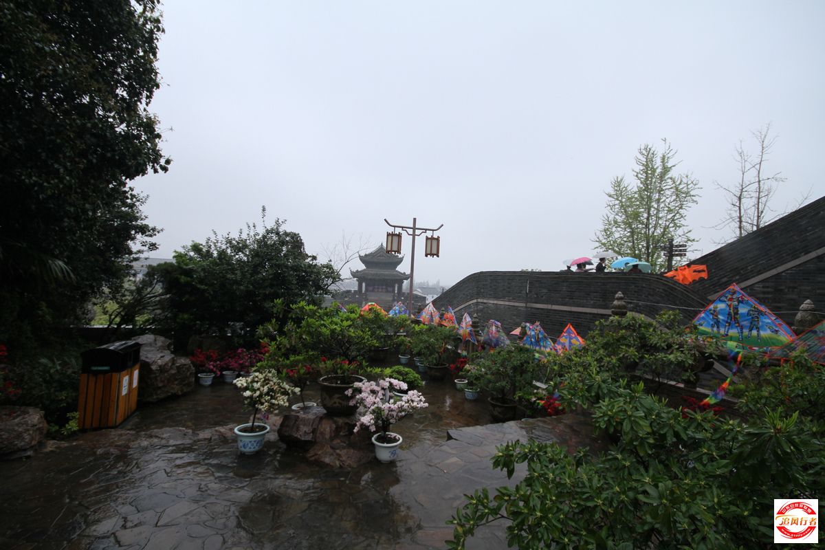 IMG_5755.jpg