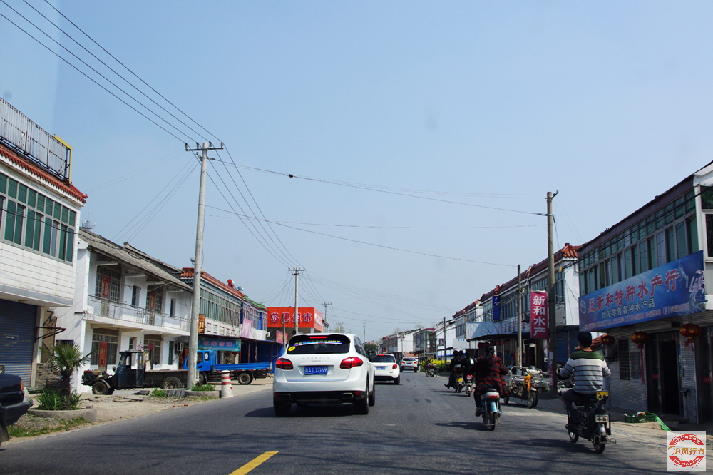 IMGP1205.jpg