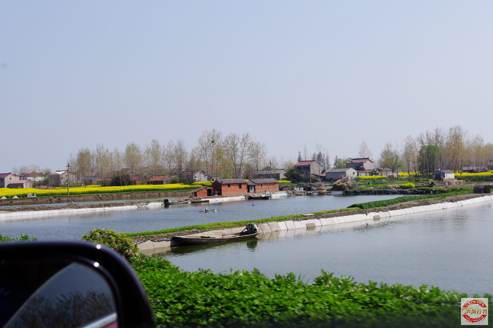IMGP1234.jpg