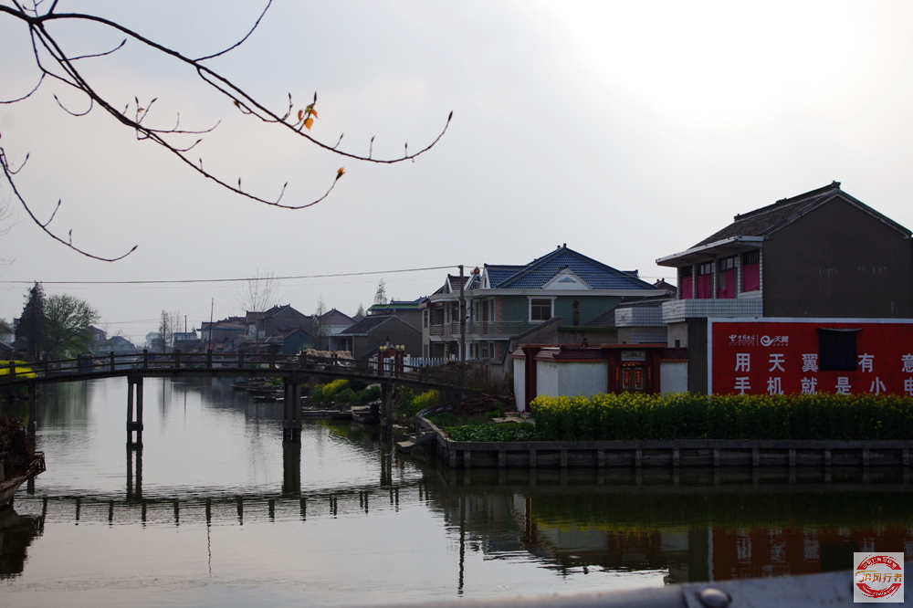IMGP1289.jpg