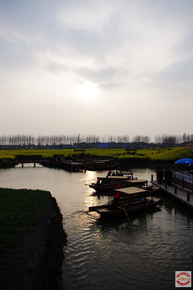 IMGP1315.jpg