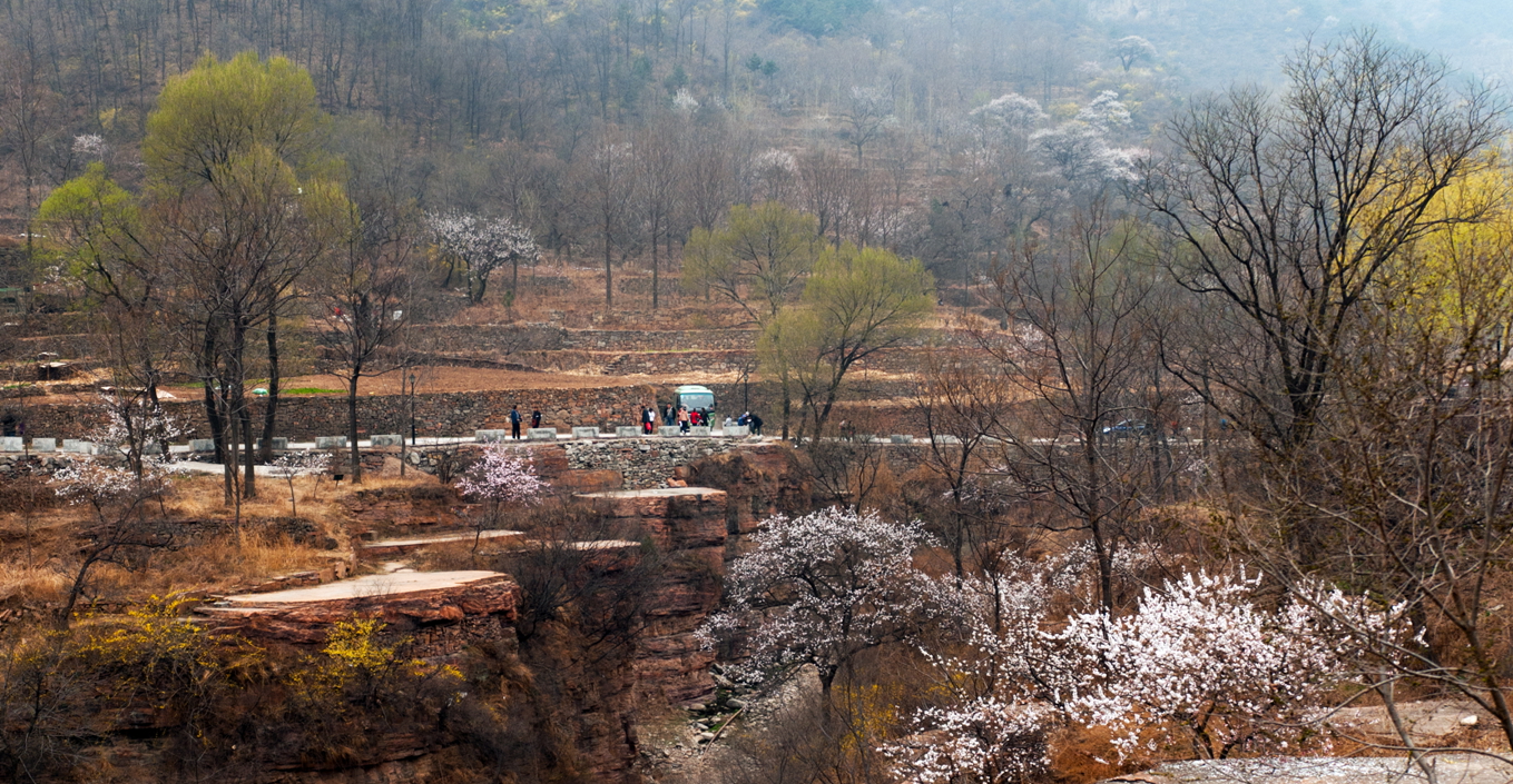 _DSC3505.jpg