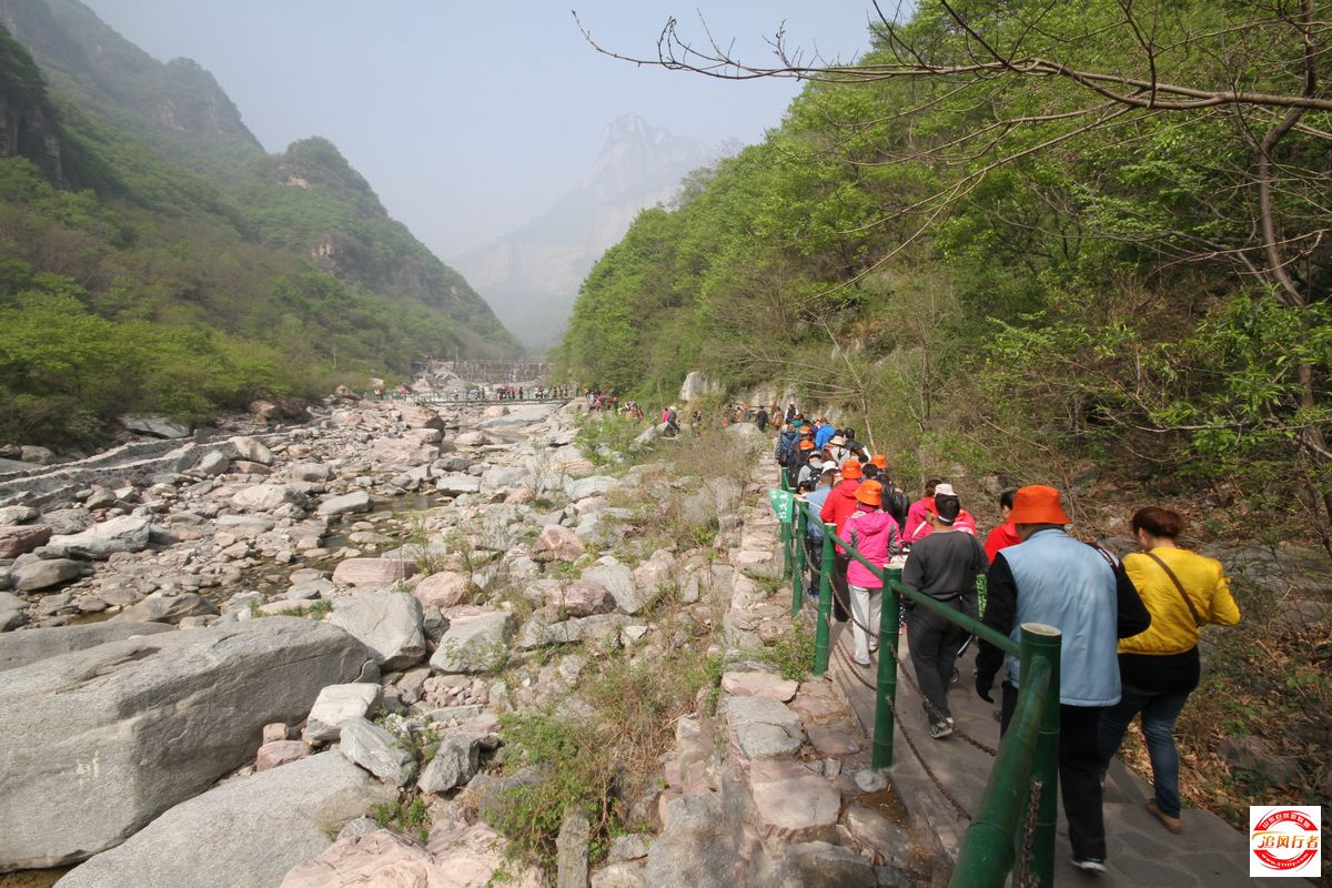 IMG_6659.jpg