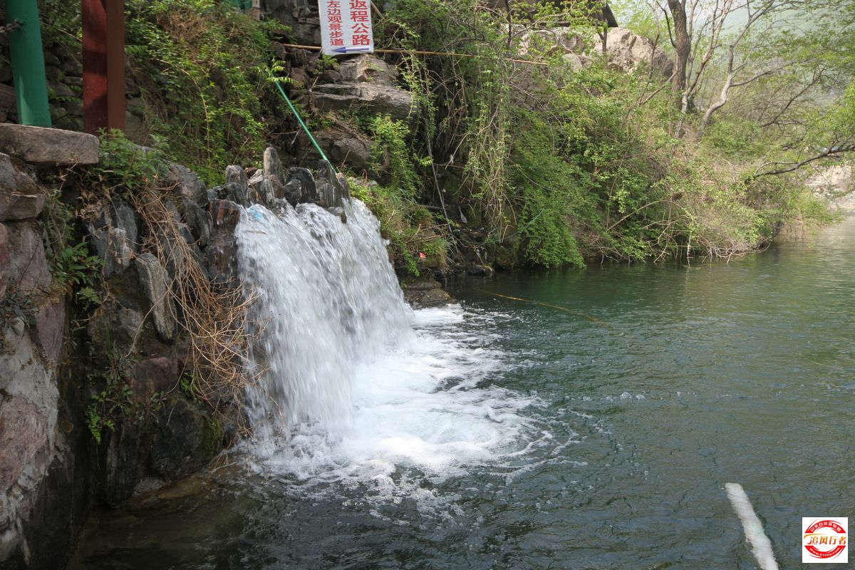IMG_6703.jpg