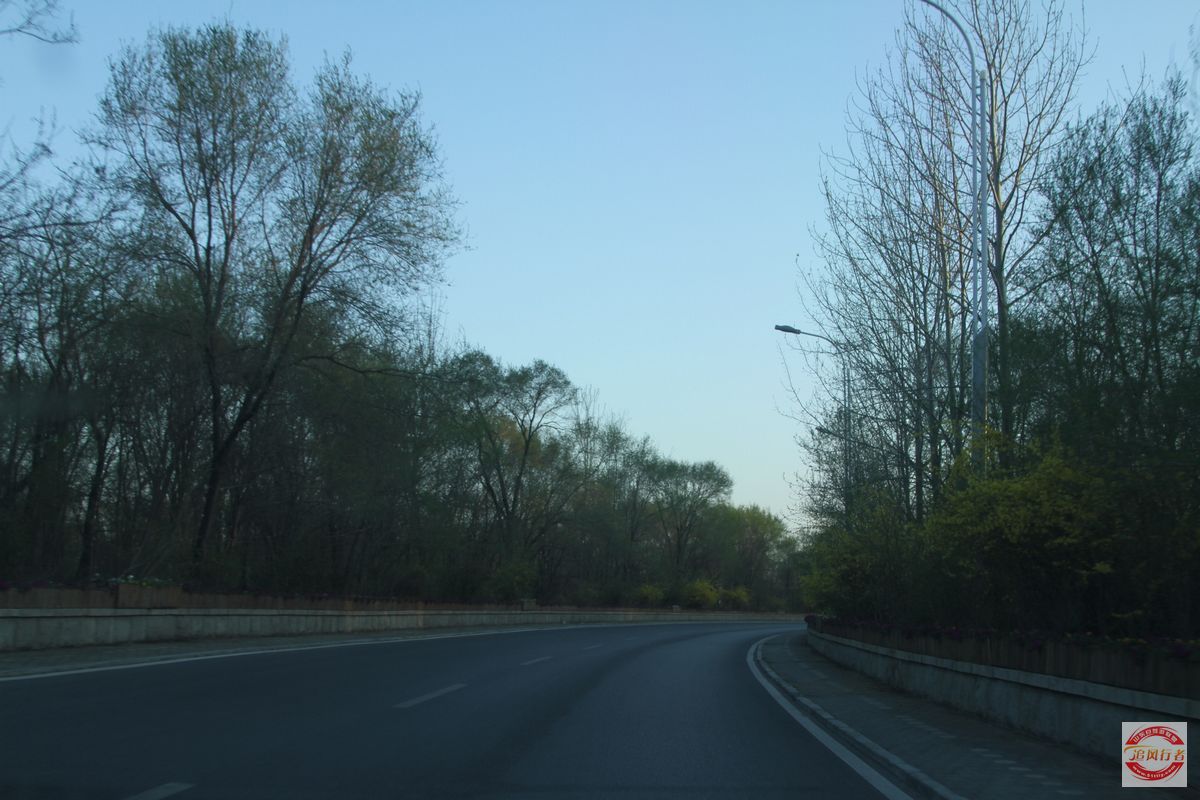 IMG_7411.jpg