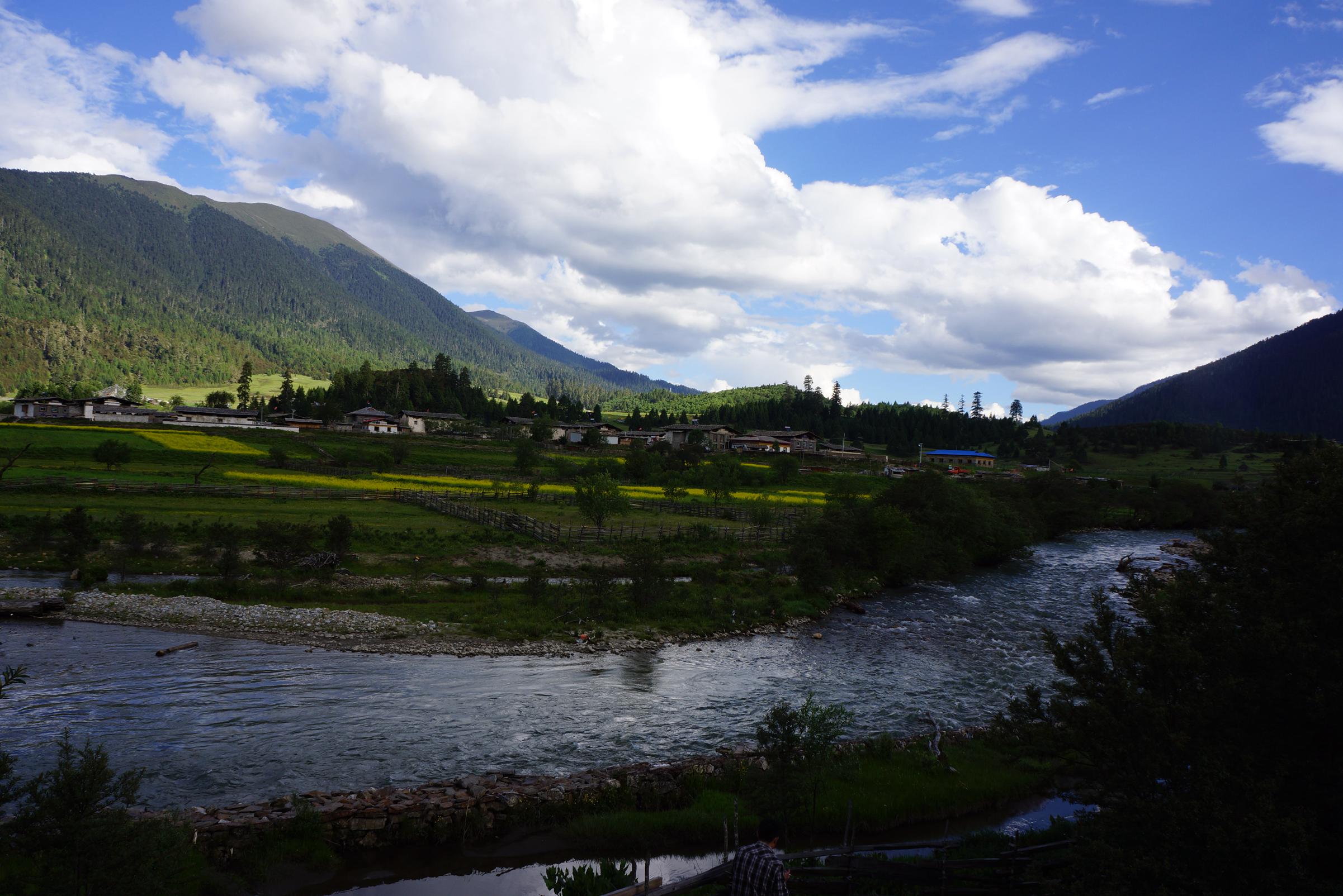 DSC04616_.jpg