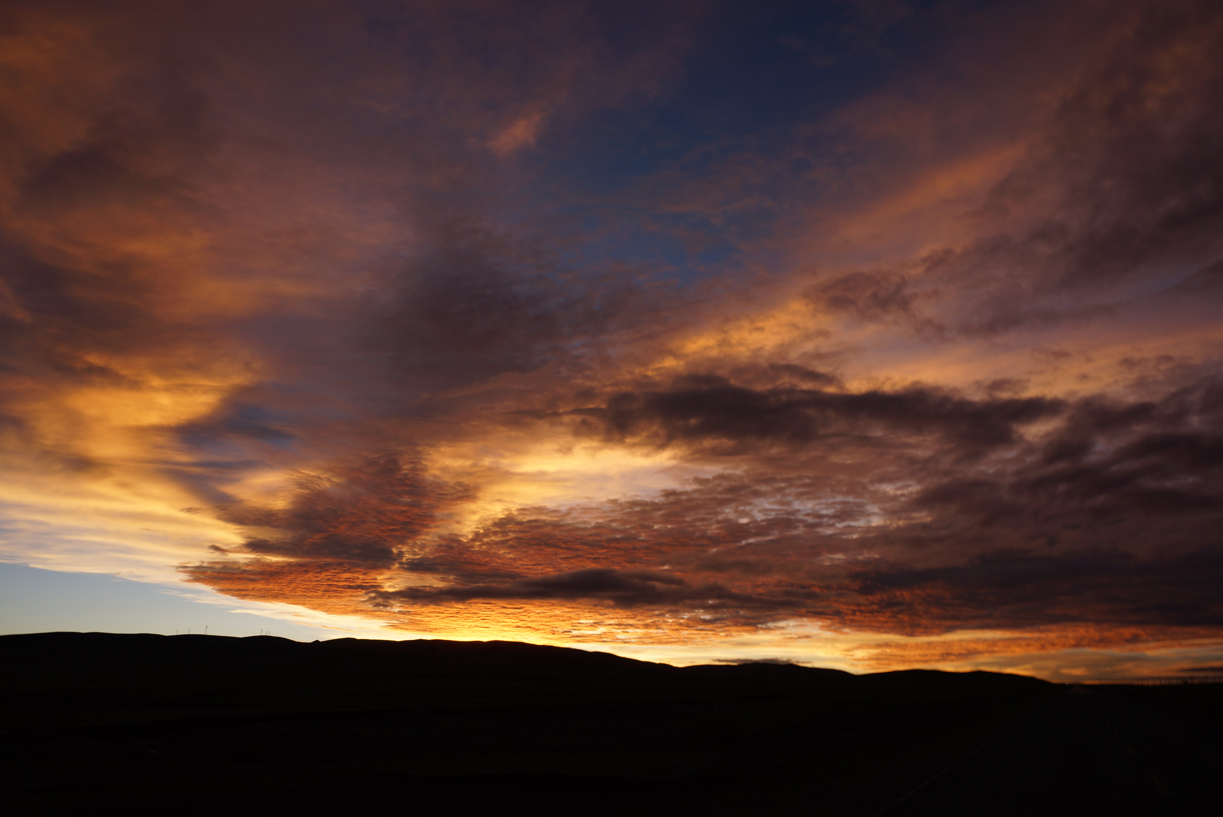 DSC04824.JPG