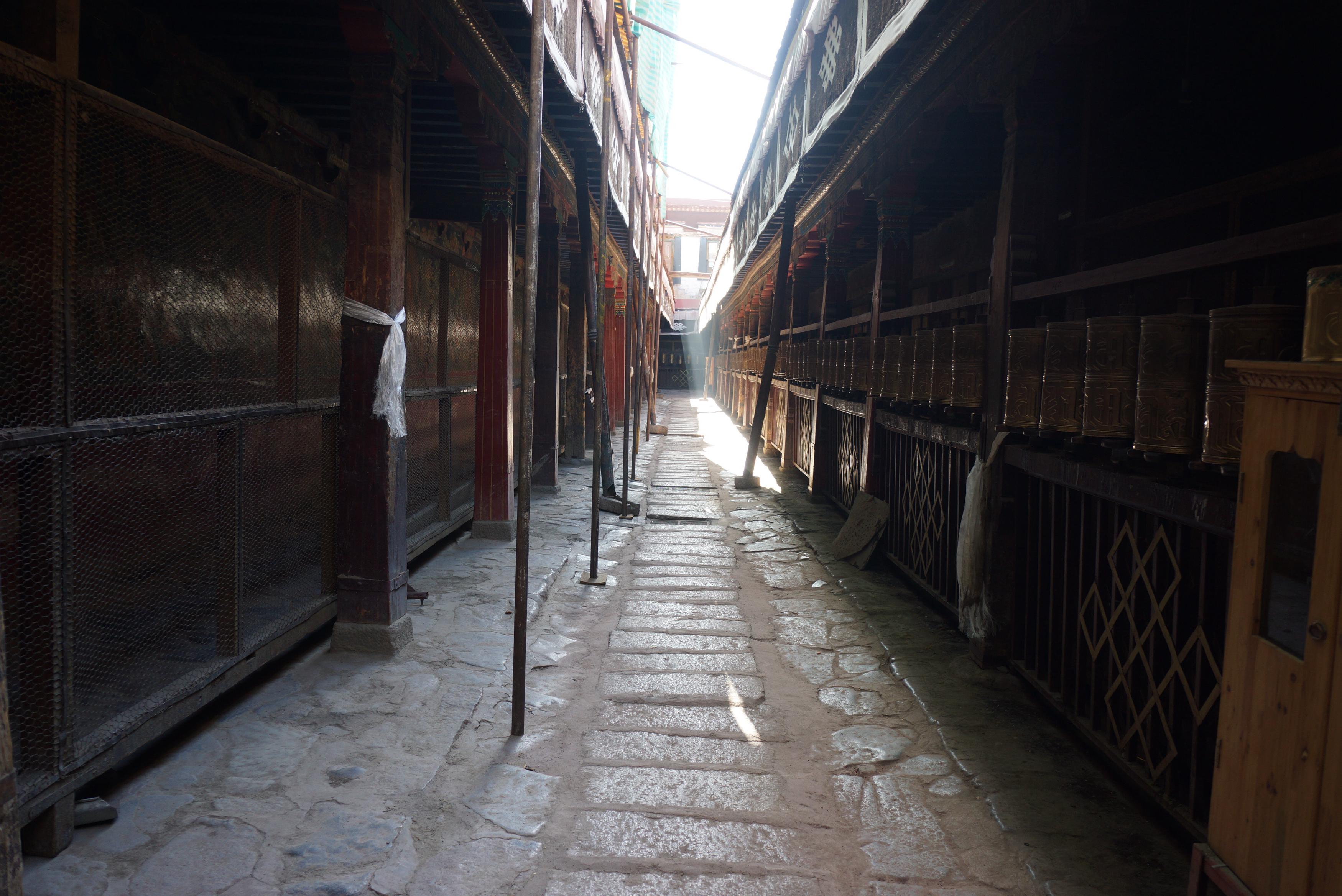 DSC04642_.jpg