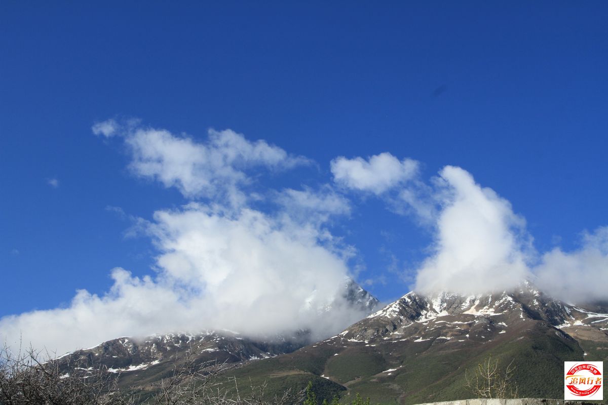 IMG_4165.jpg