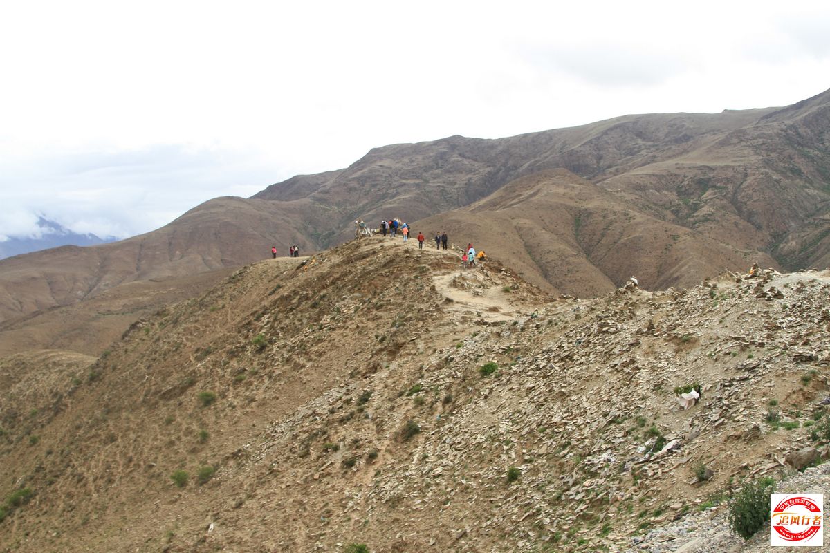 IMG_5527.jpg