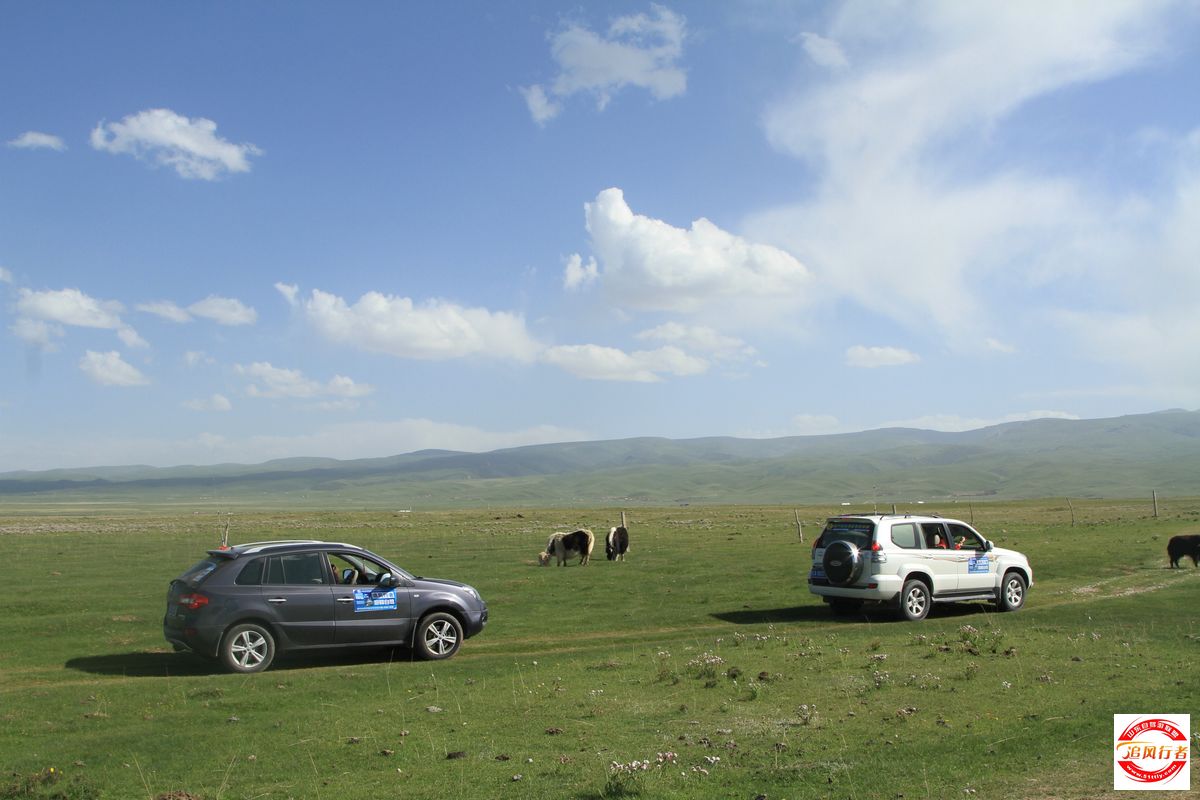 IMG_6677.jpg