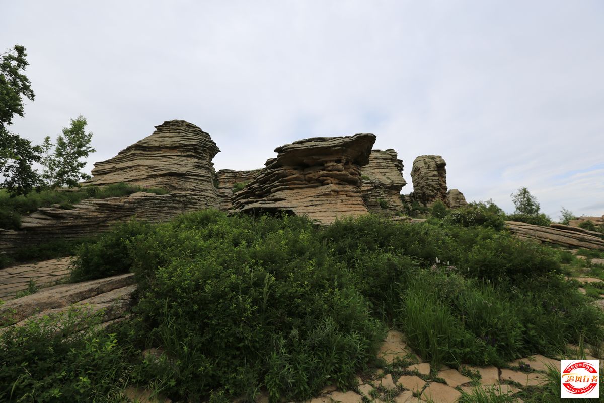 1U1A8012.jpg