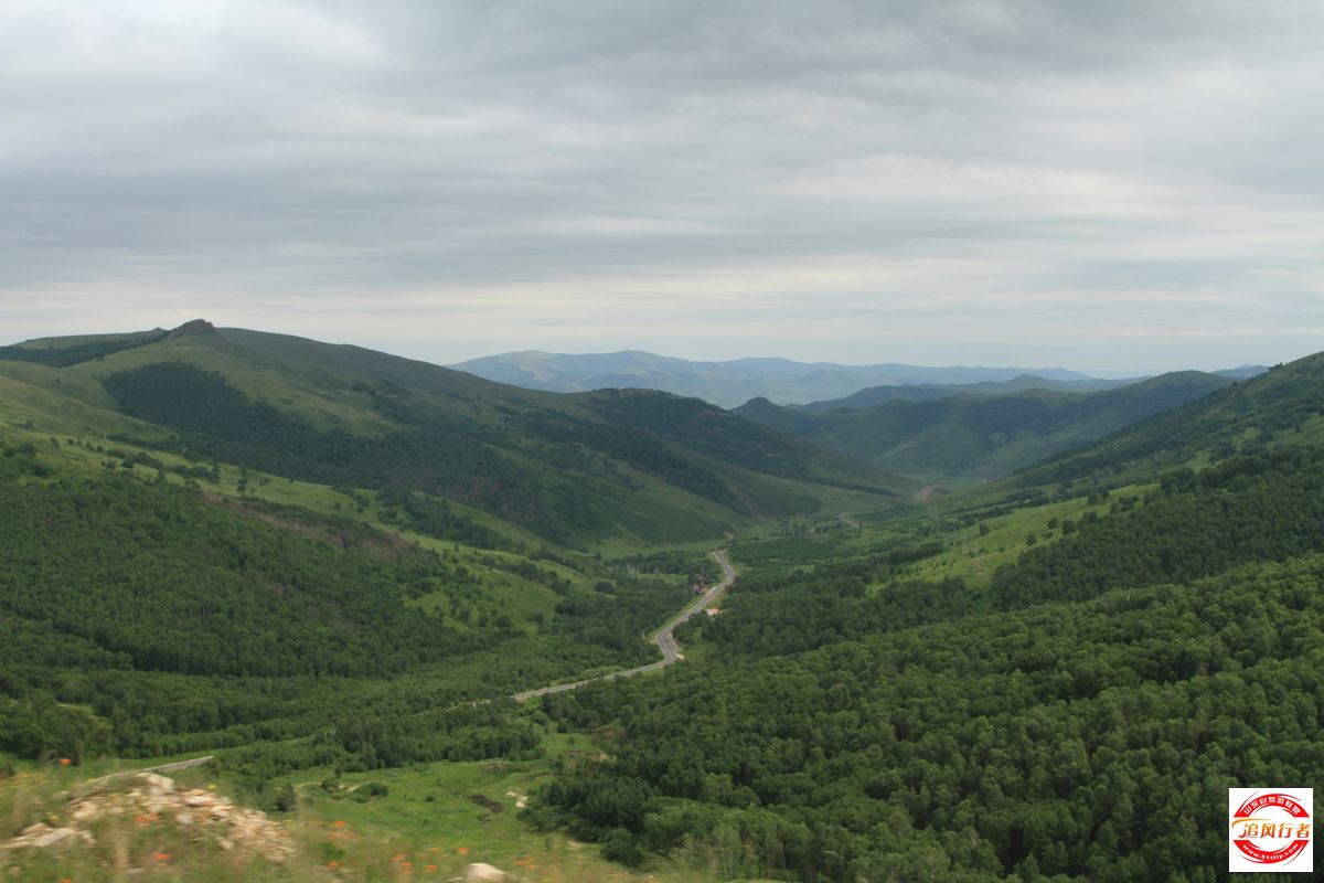 IMG_8376.jpg