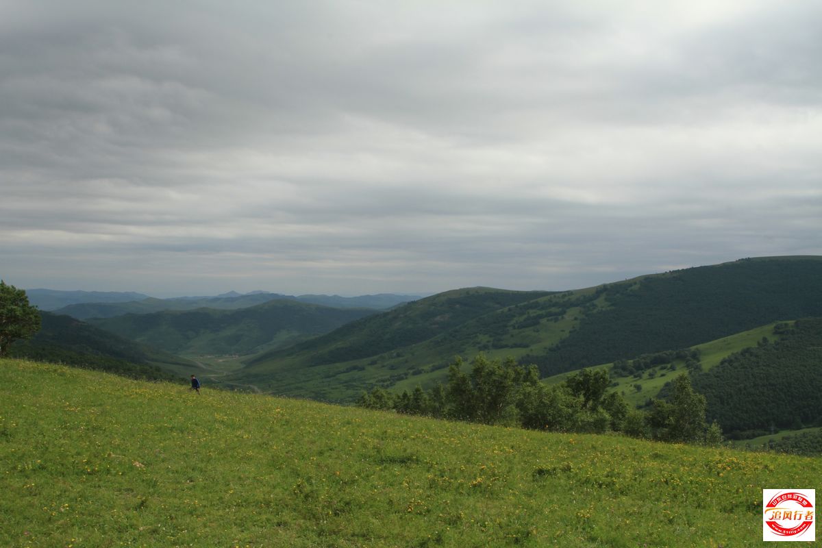 IMG_8381.jpg