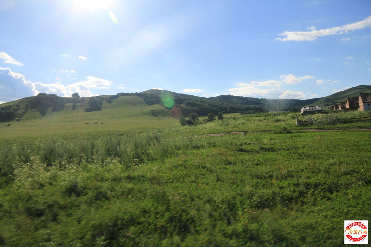 IMG_0524.jpg