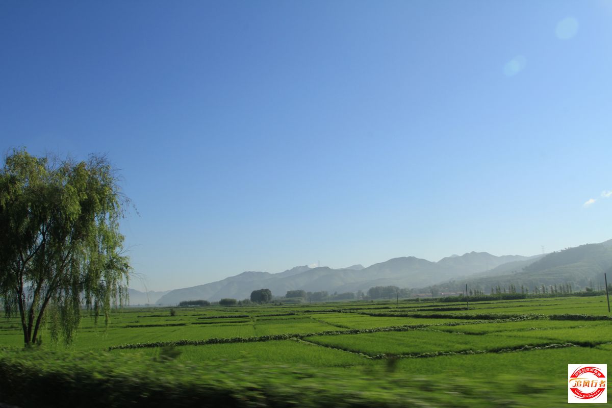 IMG_9695.jpg