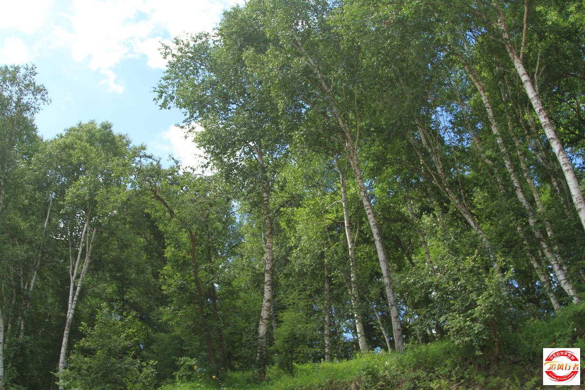 IMG_0741.jpg