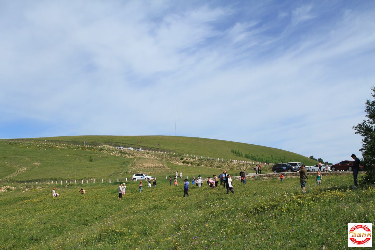 IMG_1720.jpg