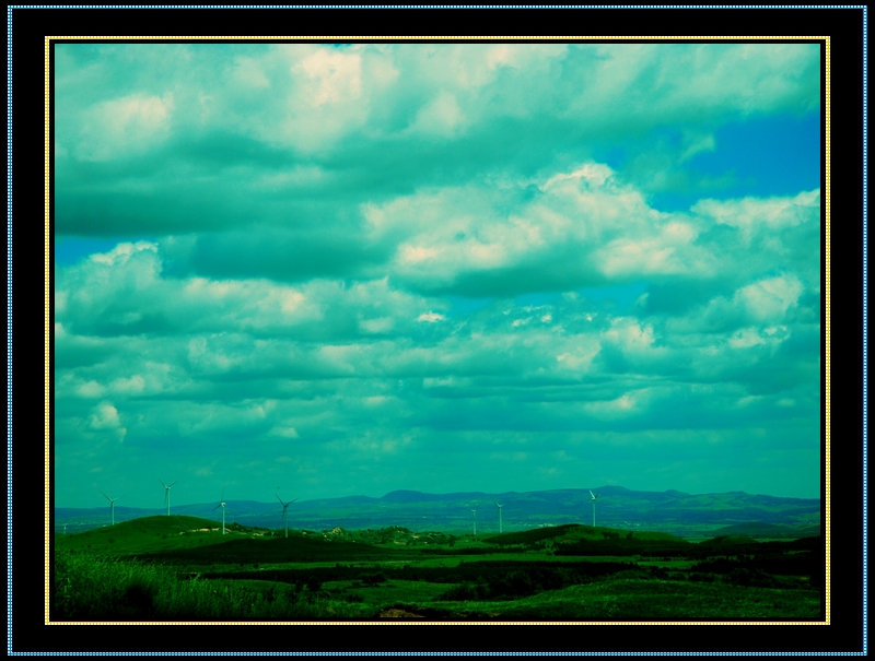 DSC_0086.jpg