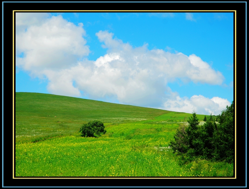 DSC_0091.jpg