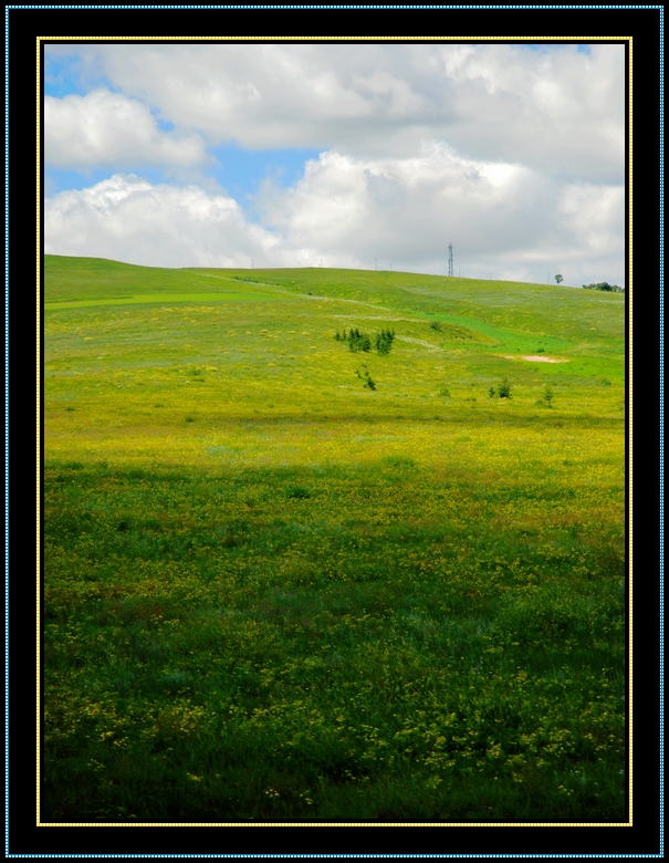 DSC_0098.jpg