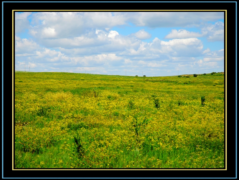 DSC_0099.jpg