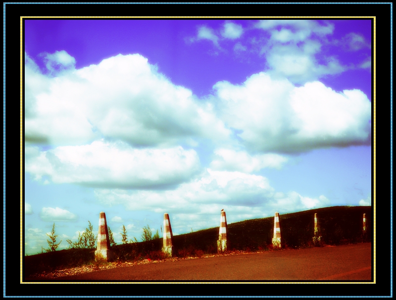 DSC_0113.jpg