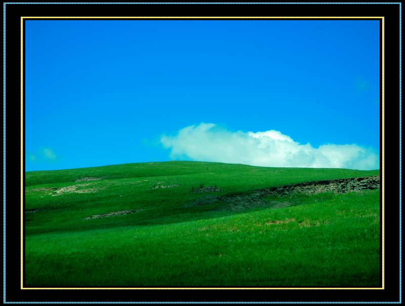 DSC_0115.jpg