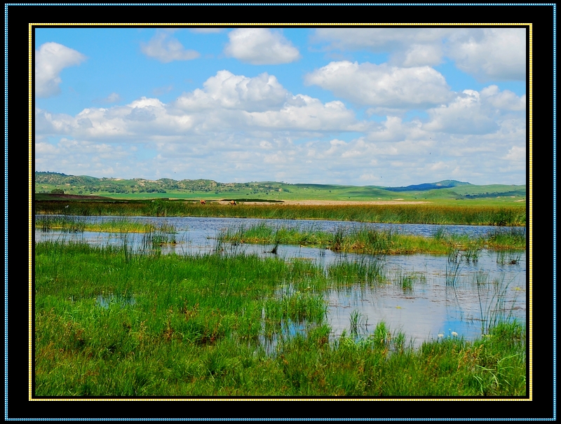DSC_0142.jpg