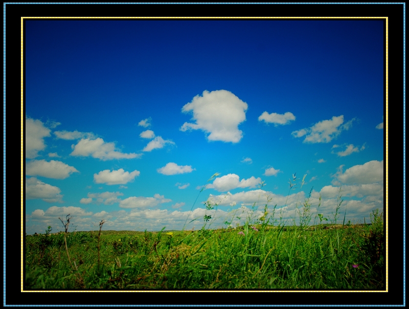 DSC_0191.jpg