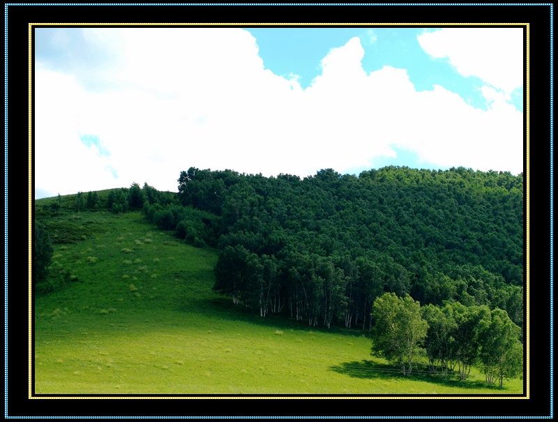 DSC_0276.jpg