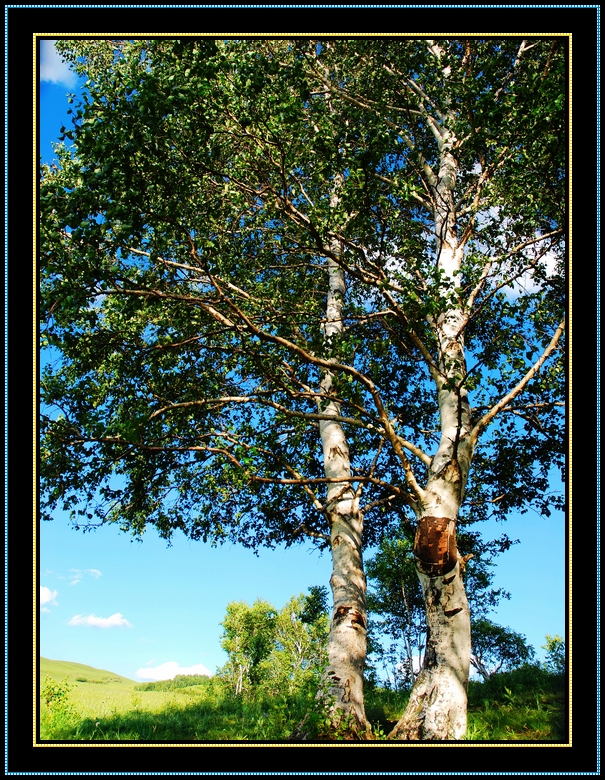 DSC_0319.jpg