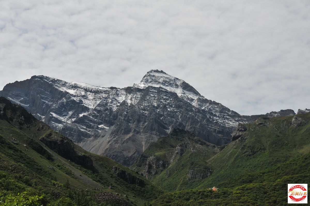 DSC_7732.jpg