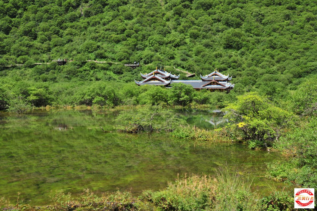 DSC_7735.jpg