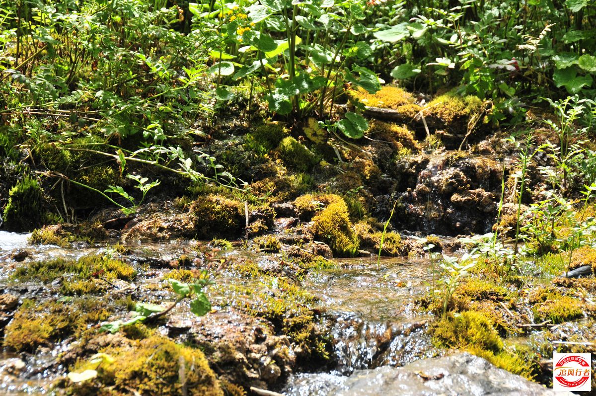 DSC_7745.jpg