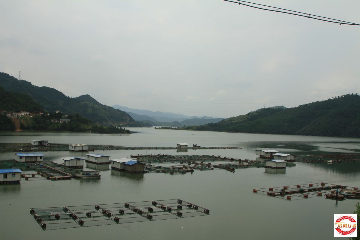 IMG_0898.jpg