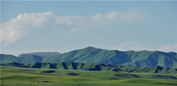 DSC_7235_ͼ.jpg