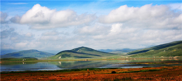 DSC_7410_ͼ.jpg
