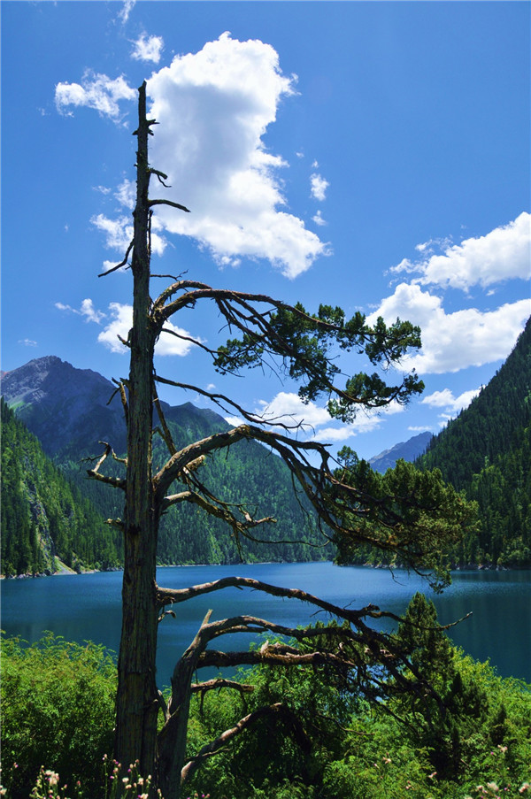 DSC_8244_ͼ.jpg
