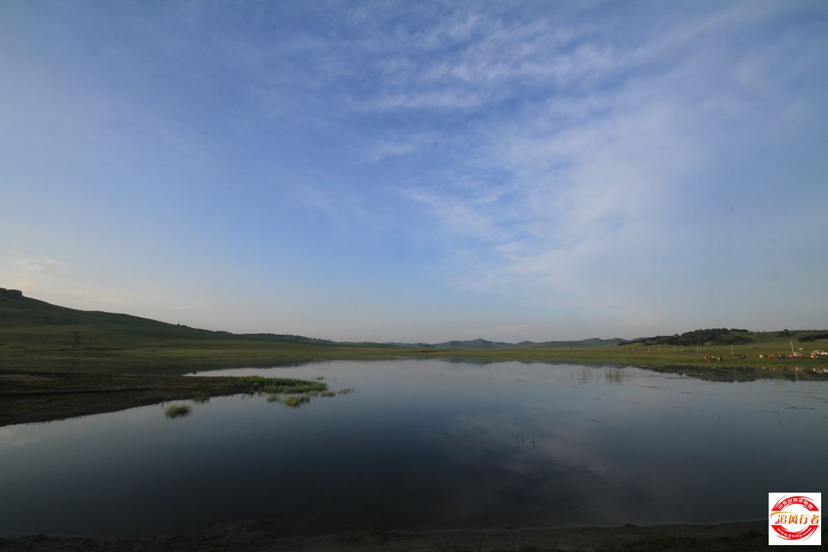 IMG_1801.jpg