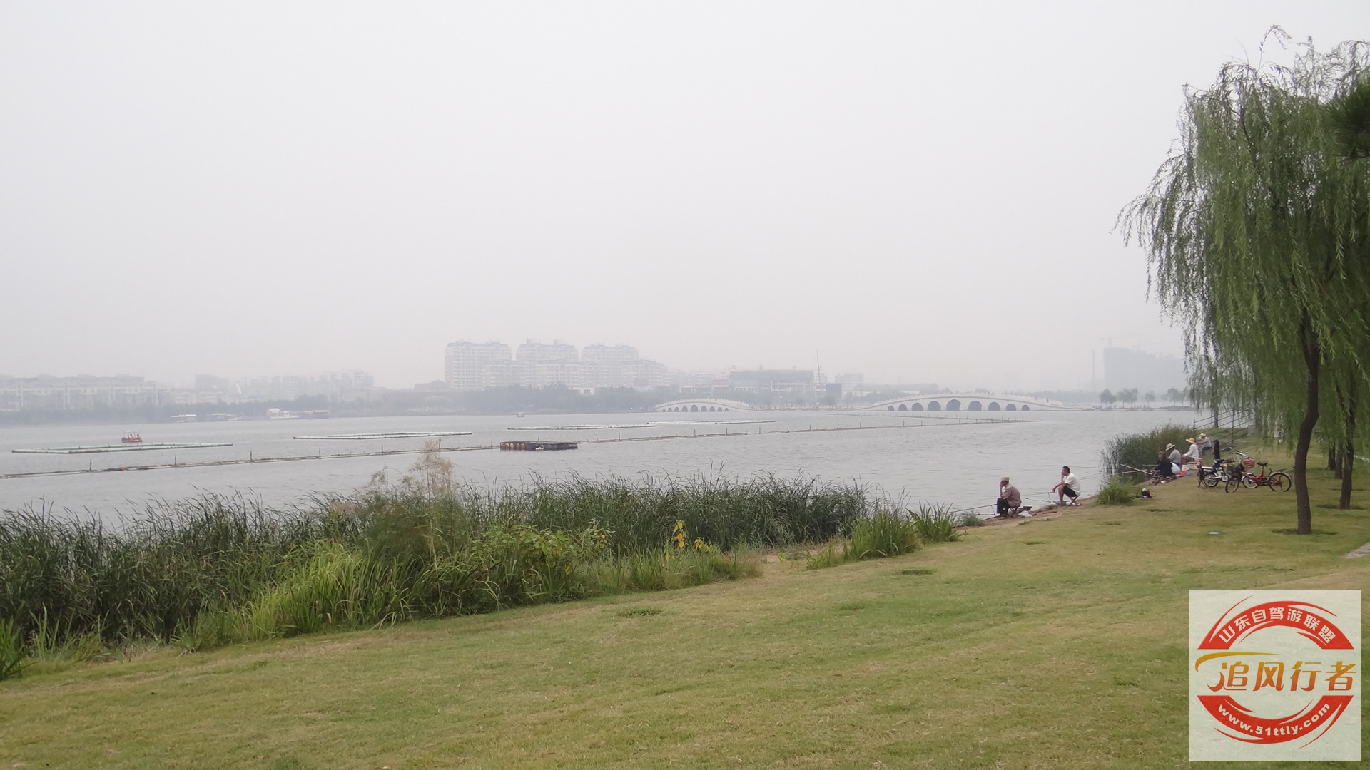 DSC01875.jpg