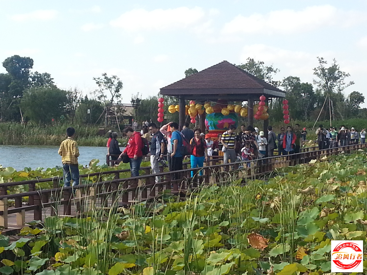 20131004_085758.jpg