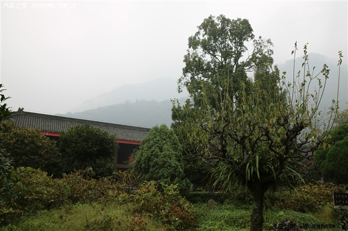 07.jpg