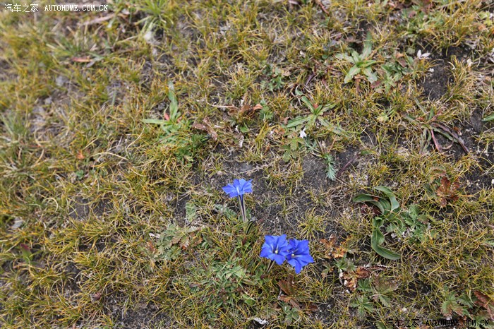 67.jpg