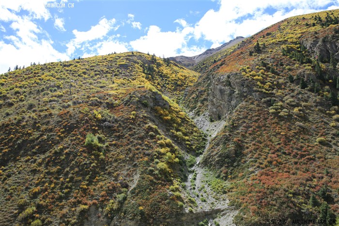 104.jpg