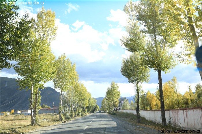 110.jpg