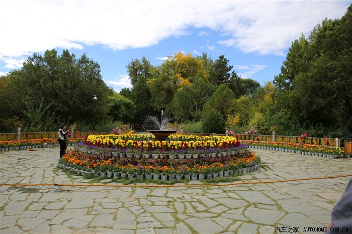 19.jpg