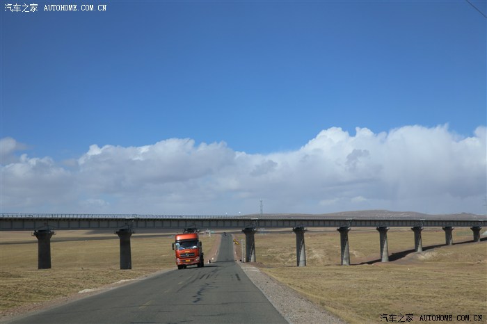 96.jpg