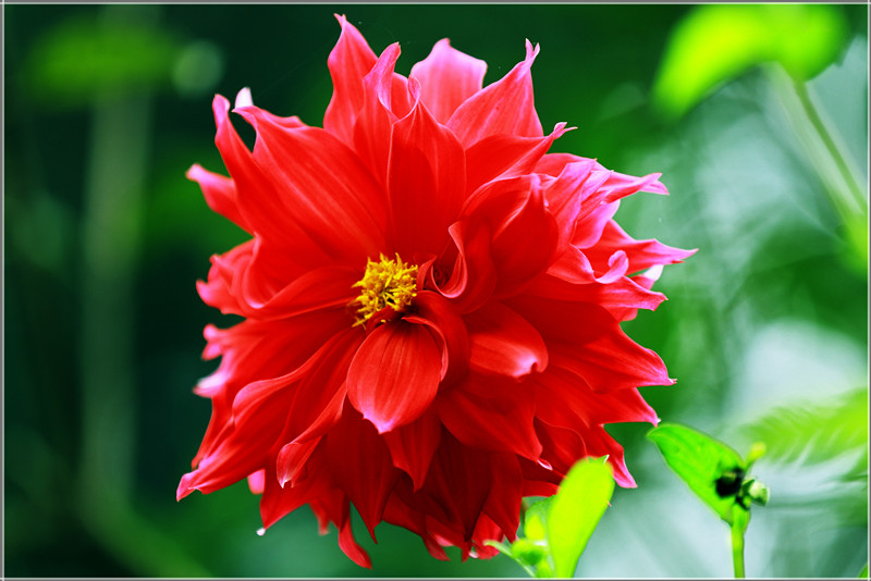 1U1A3058__.jpg